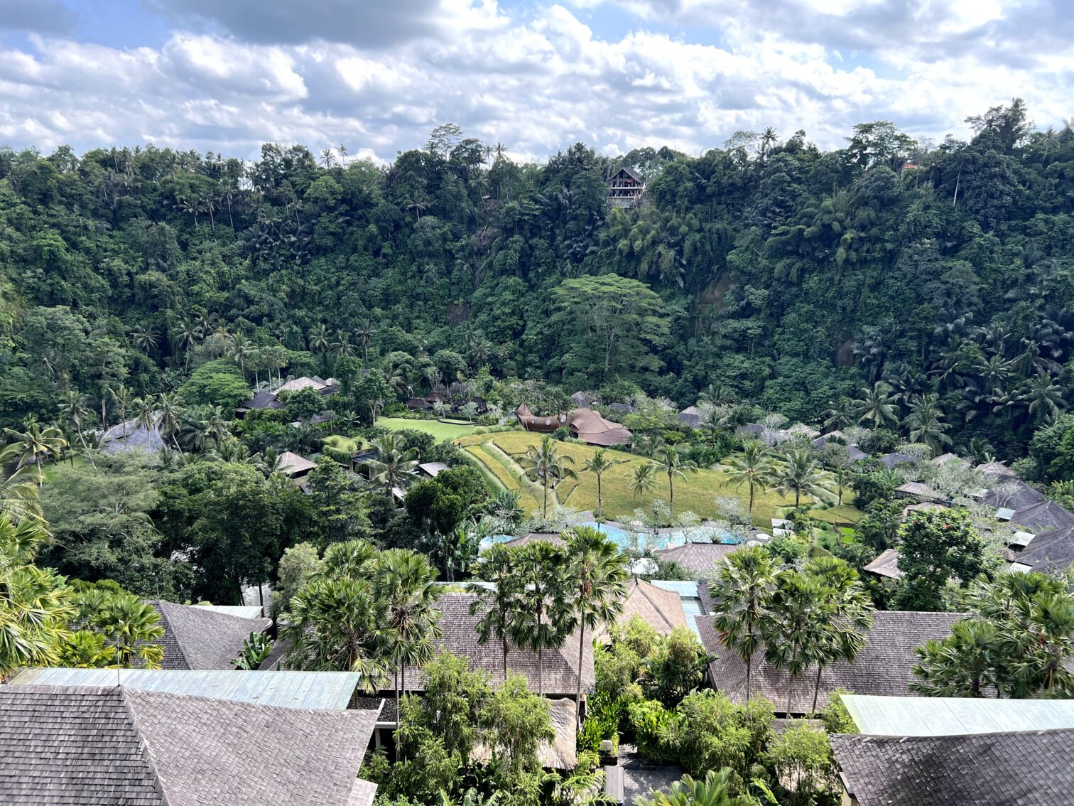 エントランスからの景色