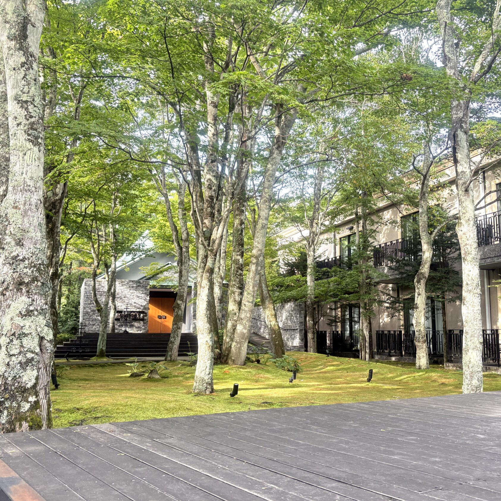 森と静寂に浸る隠れ家ステイ「旧軽井沢KIKYOキュリオ・コレクションbyヒルトン」